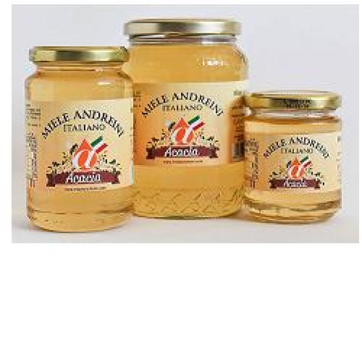 MIELE ACACIA BIO 500G