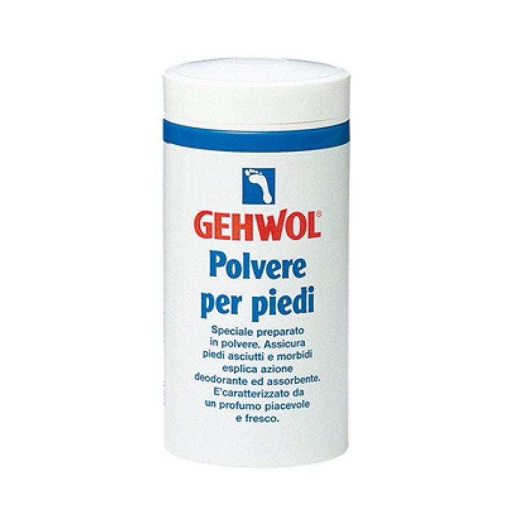 GEHWOL POLV PIEDI 100G