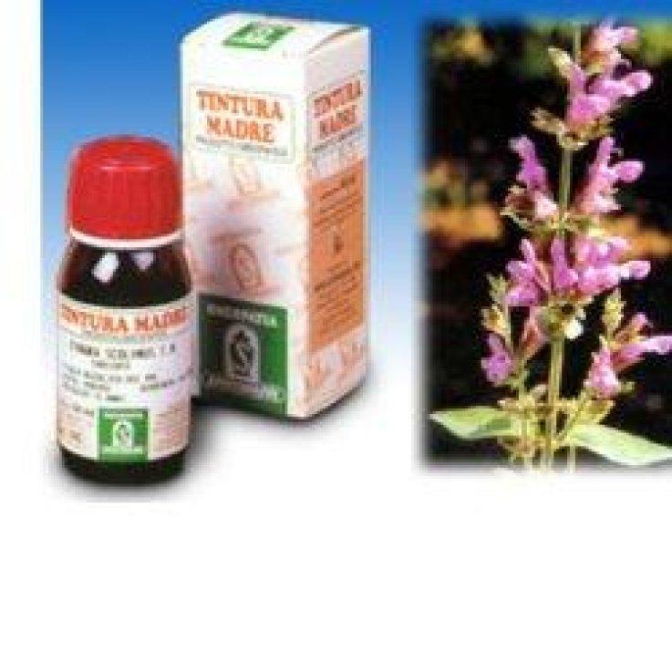 SALVIA 25 50ML TM