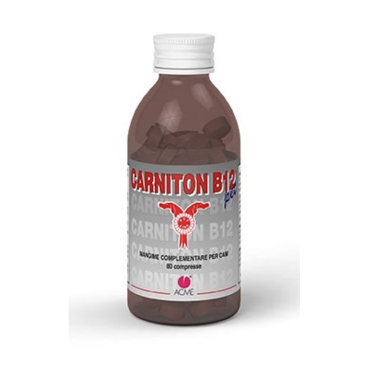 CARNITON B12 PET*80 CPR 1 G