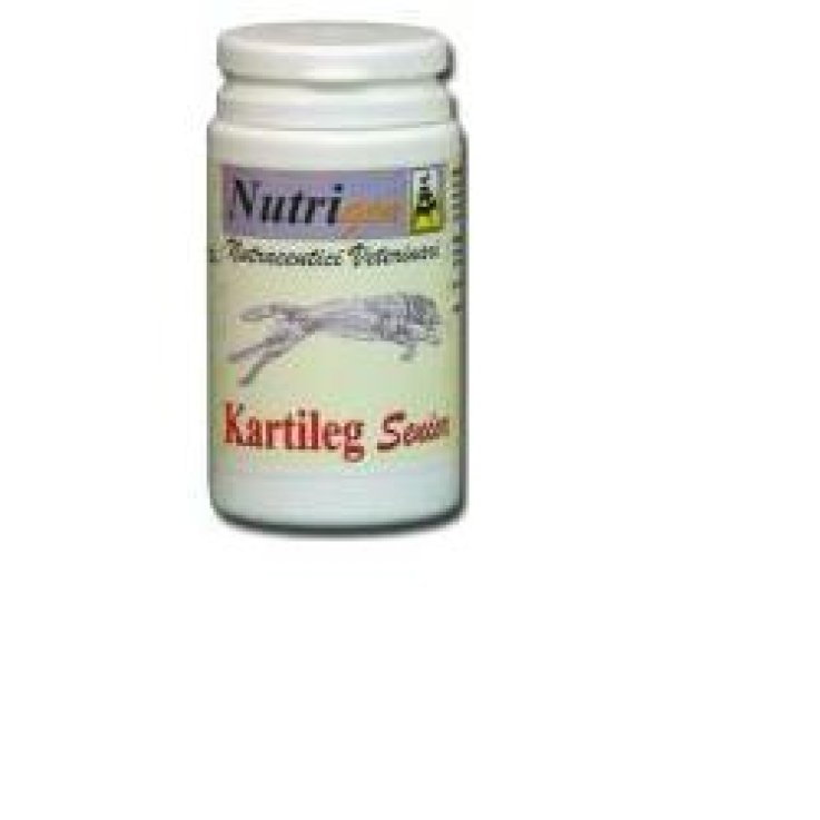 KARTILEG SENIOR 30TAV