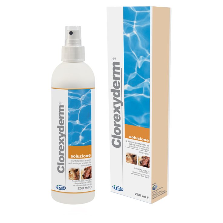 CLOREXYDERM SOL 250ML