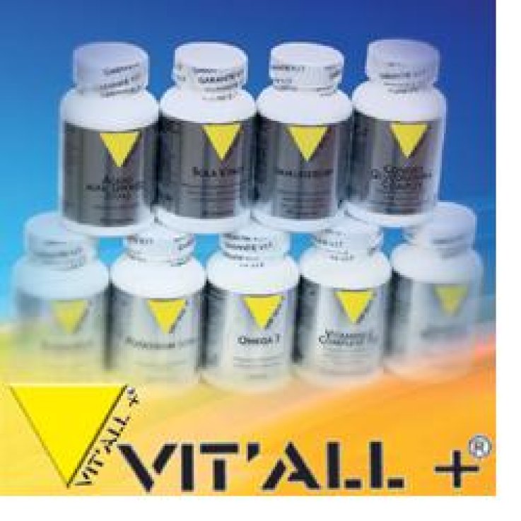 VITAL PLUS INTEGRAL B 100CPR