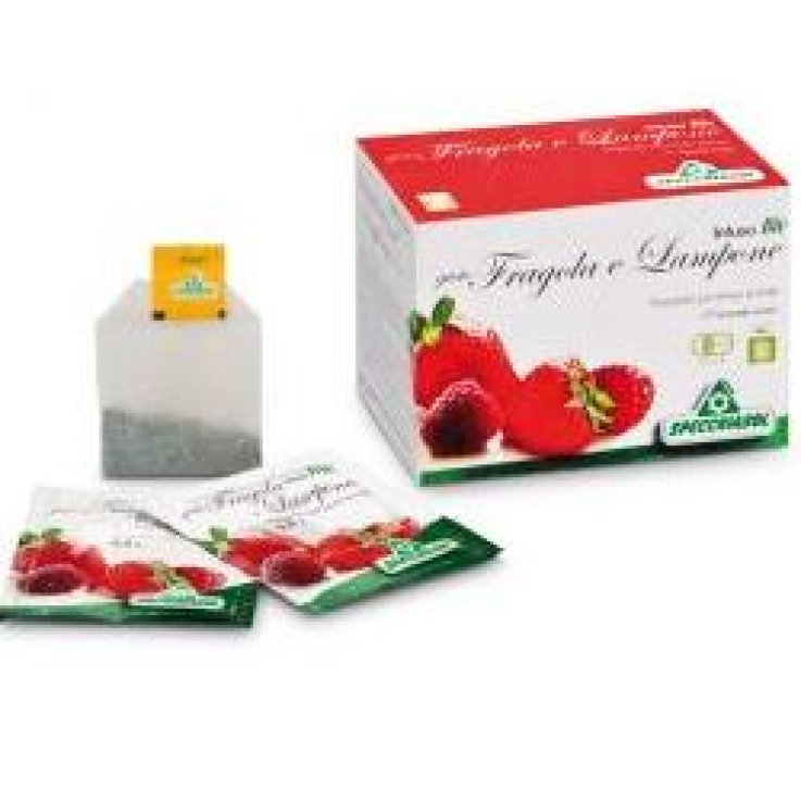 INFUSO BIO FRAGOLA/LAMPONE 20F