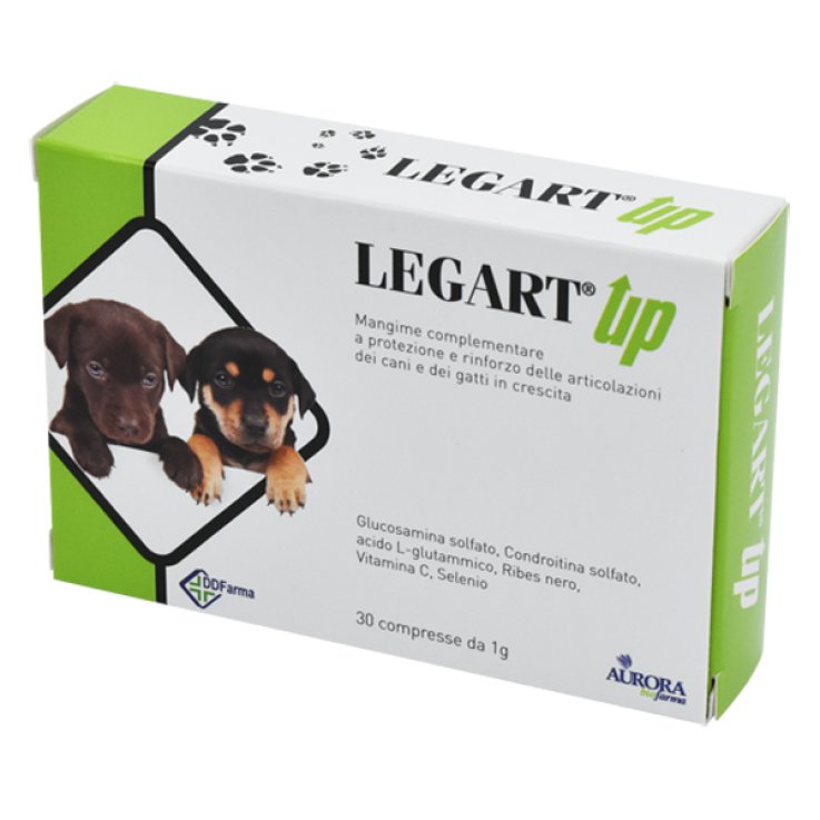 LEGART UP 30CPR