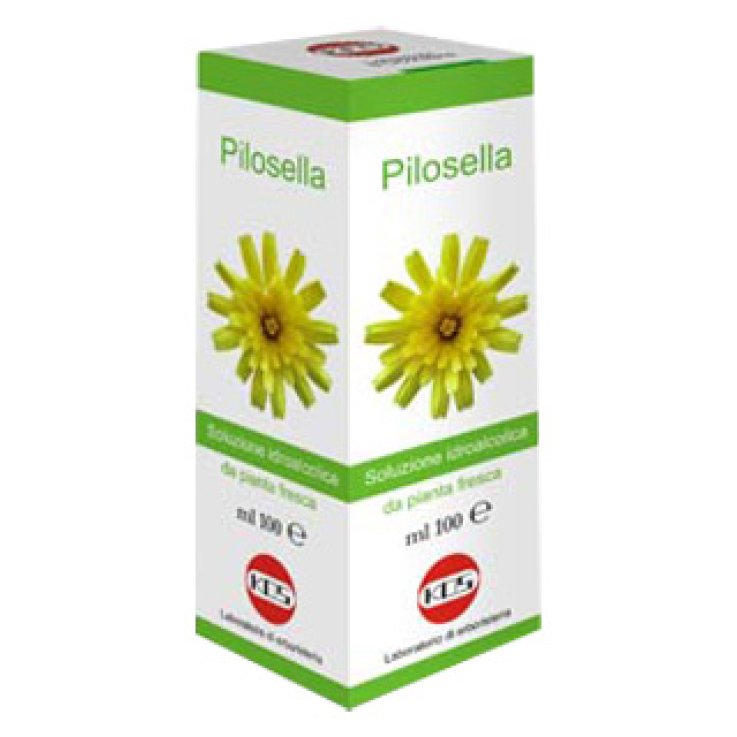 PILOSELLA SOL IAL PIANTA FR100