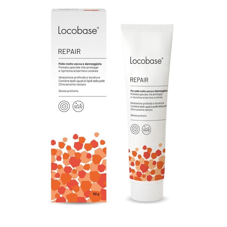 LOCOBASE REPAIR 50G