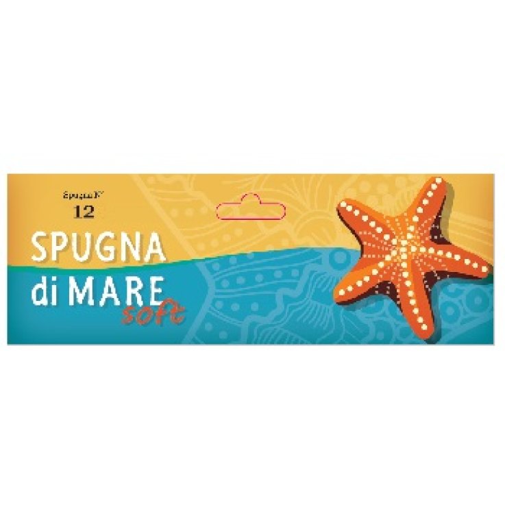 SPUGNA DI MARE SOFT L