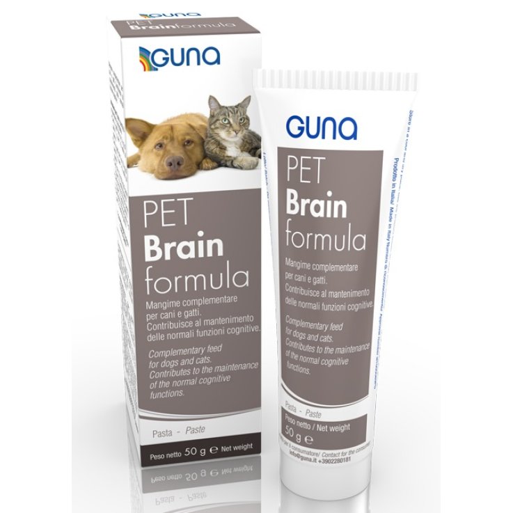 PET BRAINFORMULA 50G