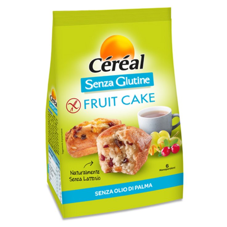 CEREAL SG FRUITCAKE 6PZ