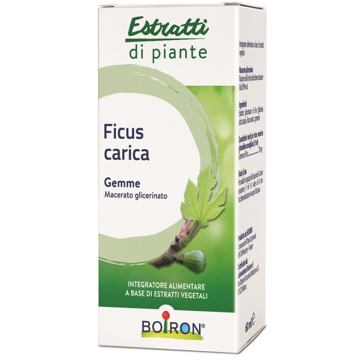 FICUS CARICA BOI MG 60ML INT