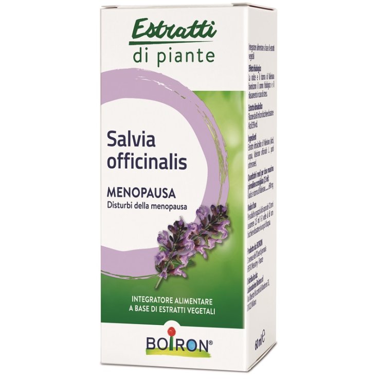 SALVIA OFFICINALIS 60ML INT