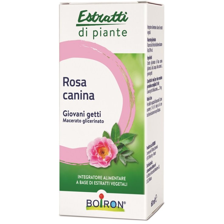 ROSA CANINA MG INT GTT 60ML