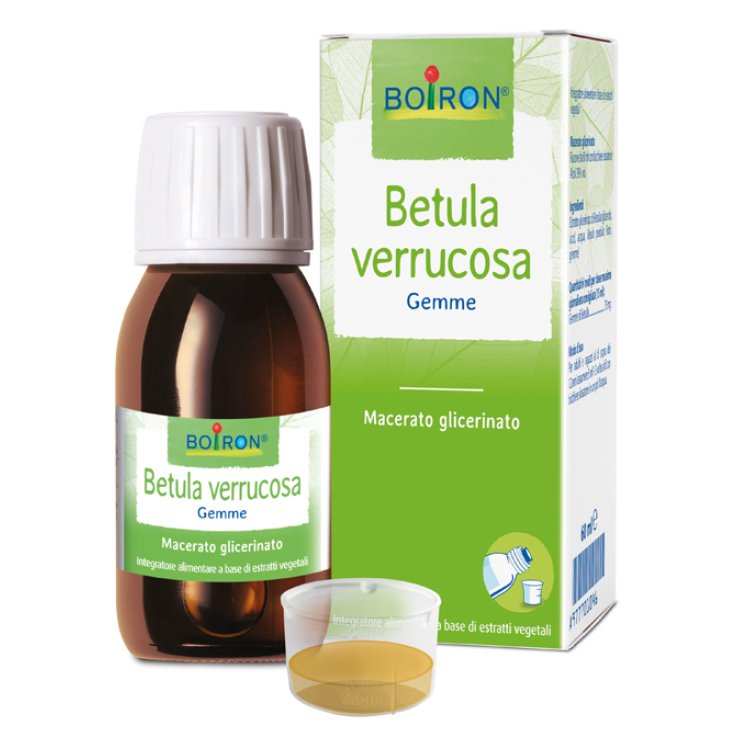 BETULA VERRUCO BOI MG 60ML INT