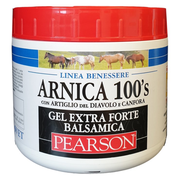 ARNICA 100 S EXTRA FORTE BALSA