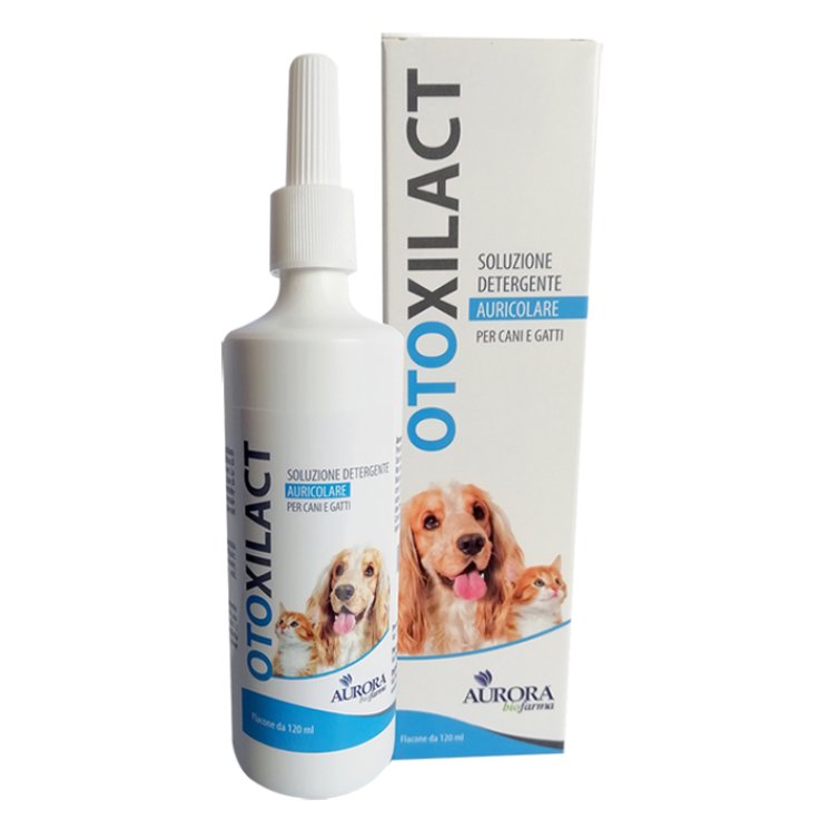 OTOXILACT DET AURICOLARE 120ML