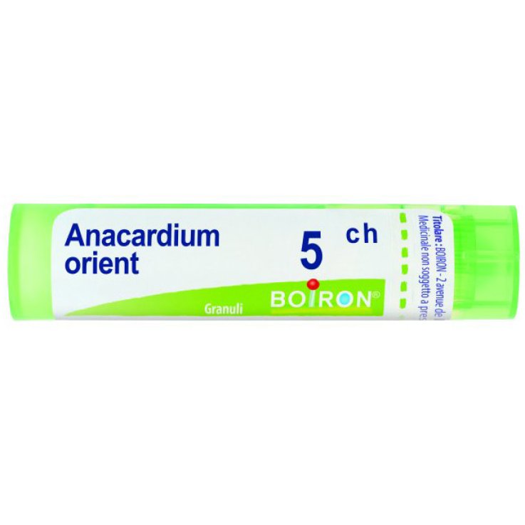 ANACARDIUM ORIENT 5CH GR