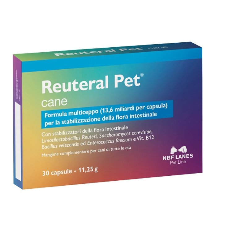 REUTERAL PET CANE 30 CPS