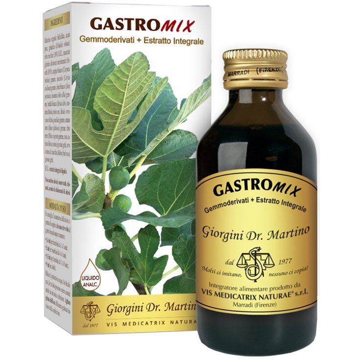 GASTROMIX LIQUIDO ANALC 100ML