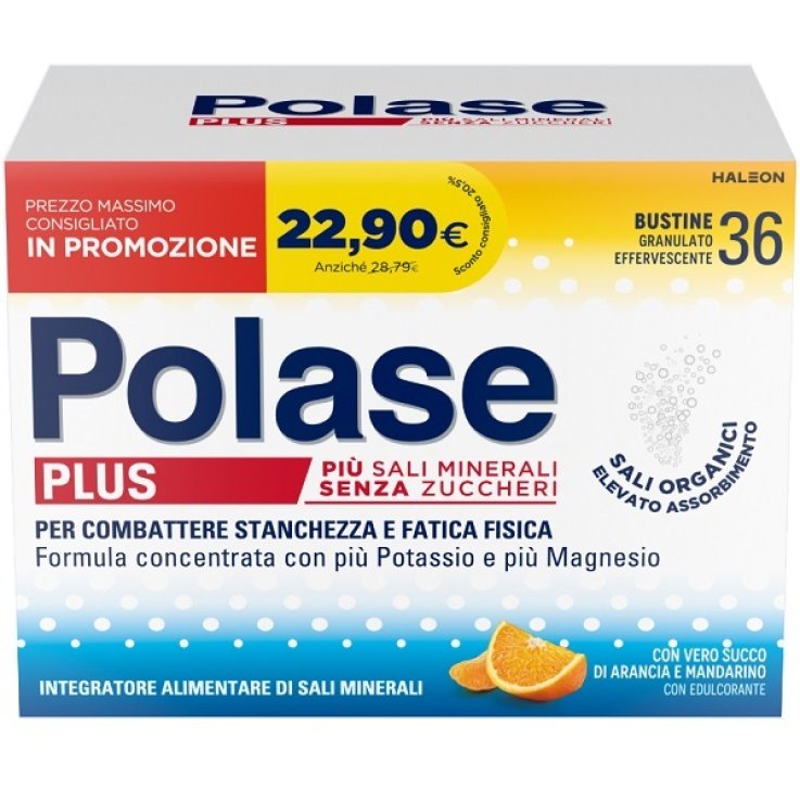 POLASE PLUS 36BUST PROMO 2024