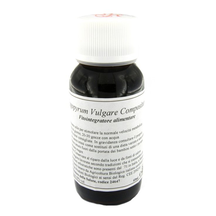 LVS 33S FAGOPYRUM VULGARE COMP