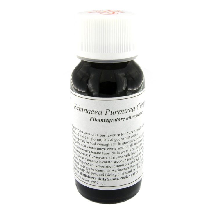 LVS 67S ECHINACEA PURPUREA COM