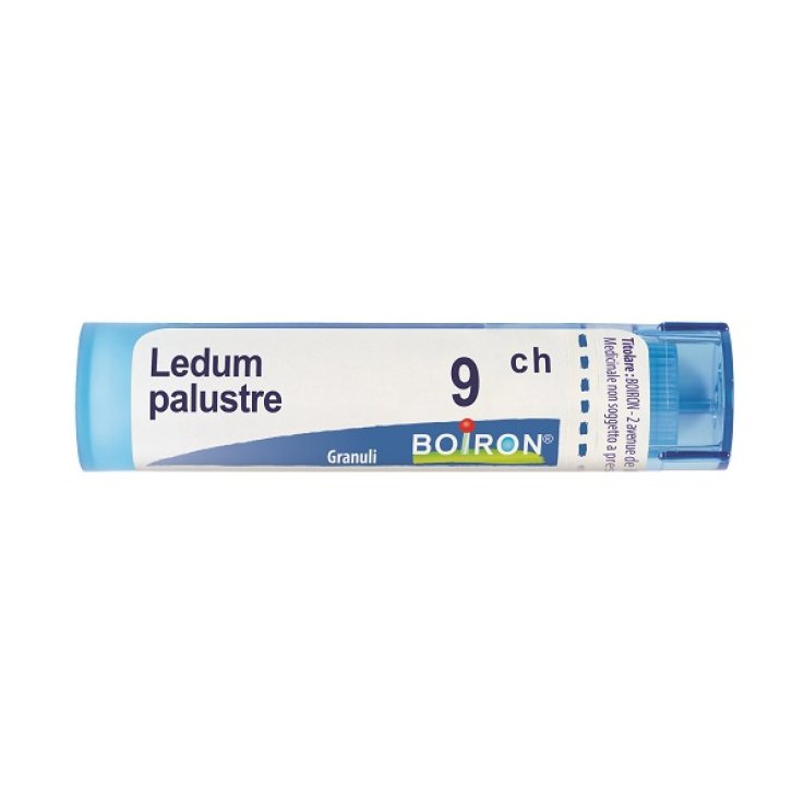 LEDUM PALUST 9CH GR